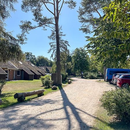فيلا Urlauberdorf Haus 61B بولتينهاجين المظهر الخارجي الصورة